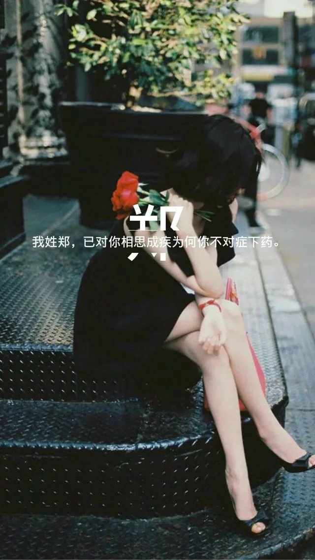 白洛冉：姓氏图