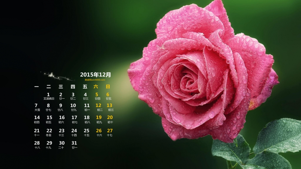 2015年12月日历壁纸唯美好看的鲜花图片1