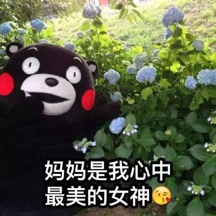 妈妈，是我心目中的女神