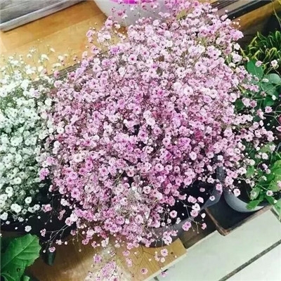 等，思念蔓成永恒