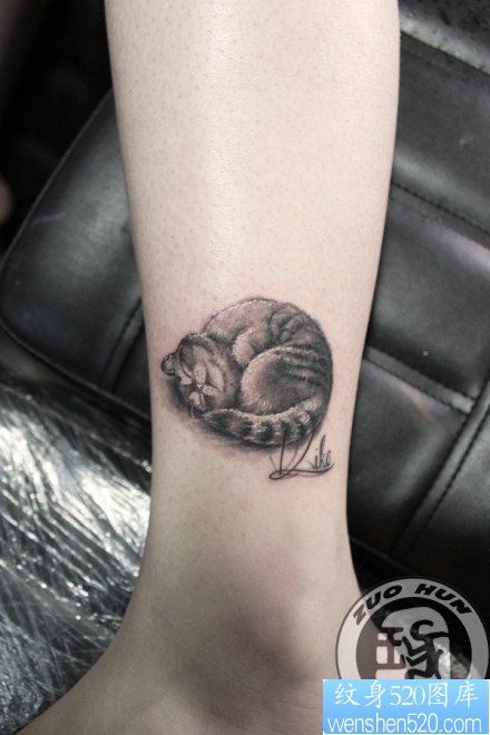 女人腿部可爱小巧的猫咪纹身图片