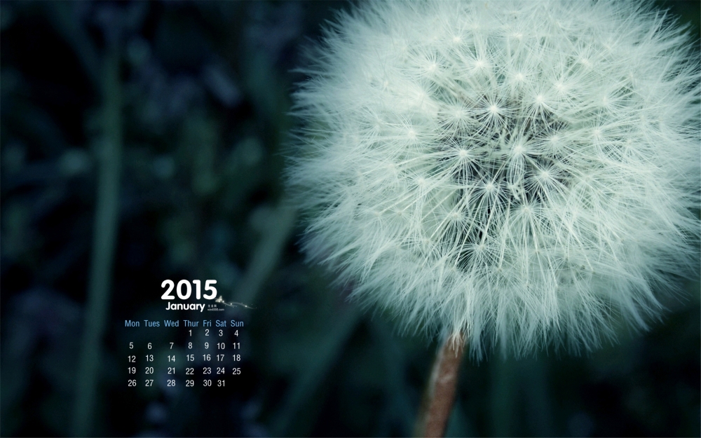 2015年1月日历壁纸好看的绿色背景蒲公英素材图片免费下载