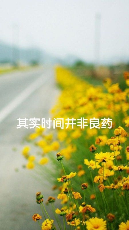 用心玩了场爱情游戏