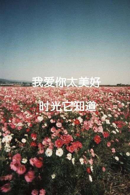 用心玩了场爱情游戏