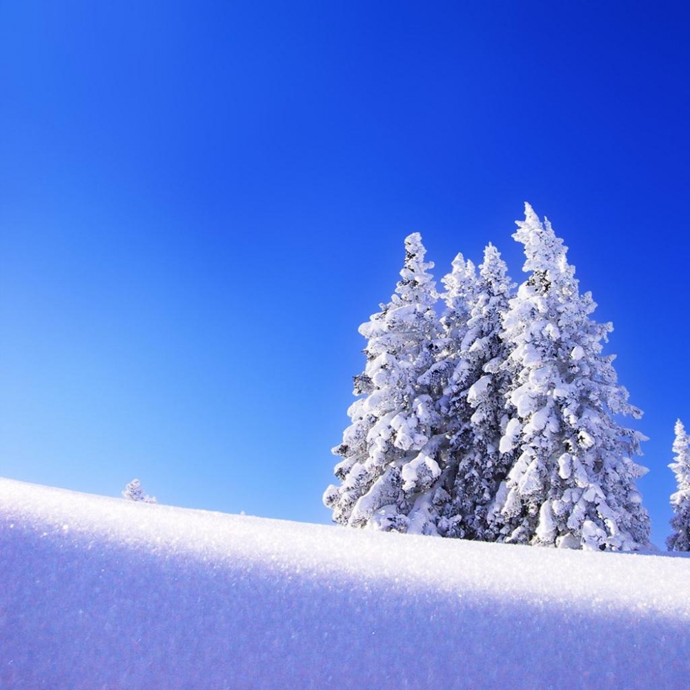 冬季雪景电脑壁纸高清