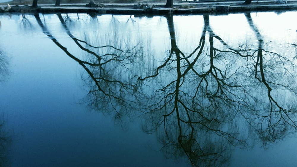 风景竹 竹林图片美丽风景电脑壁纸