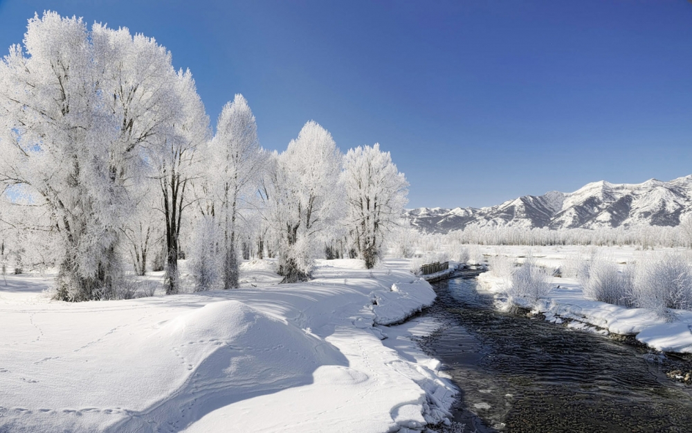 2013的纯白雪景