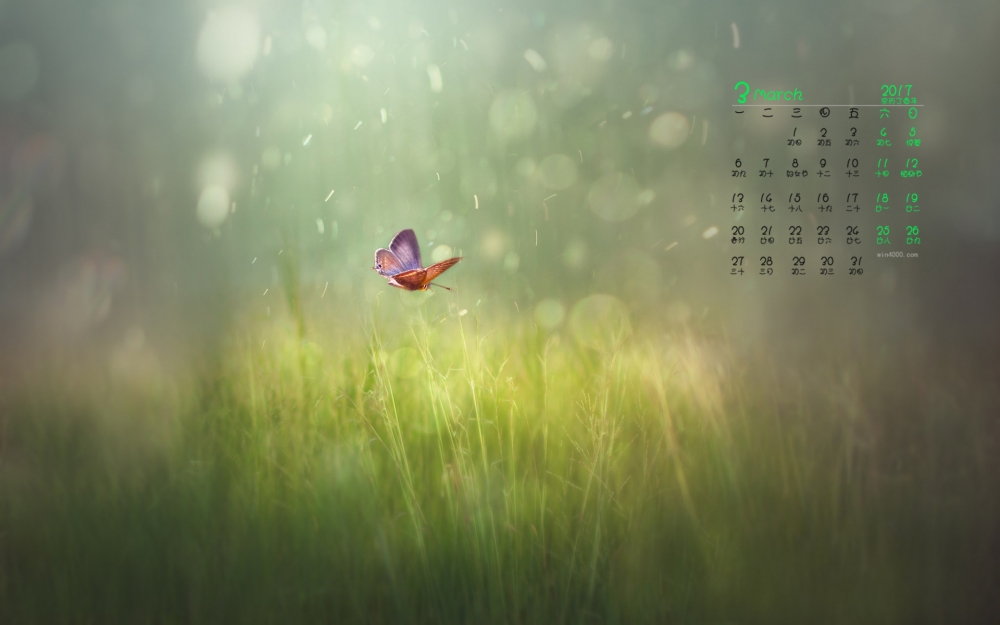 2017年3月唯美简约花朵日历壁纸