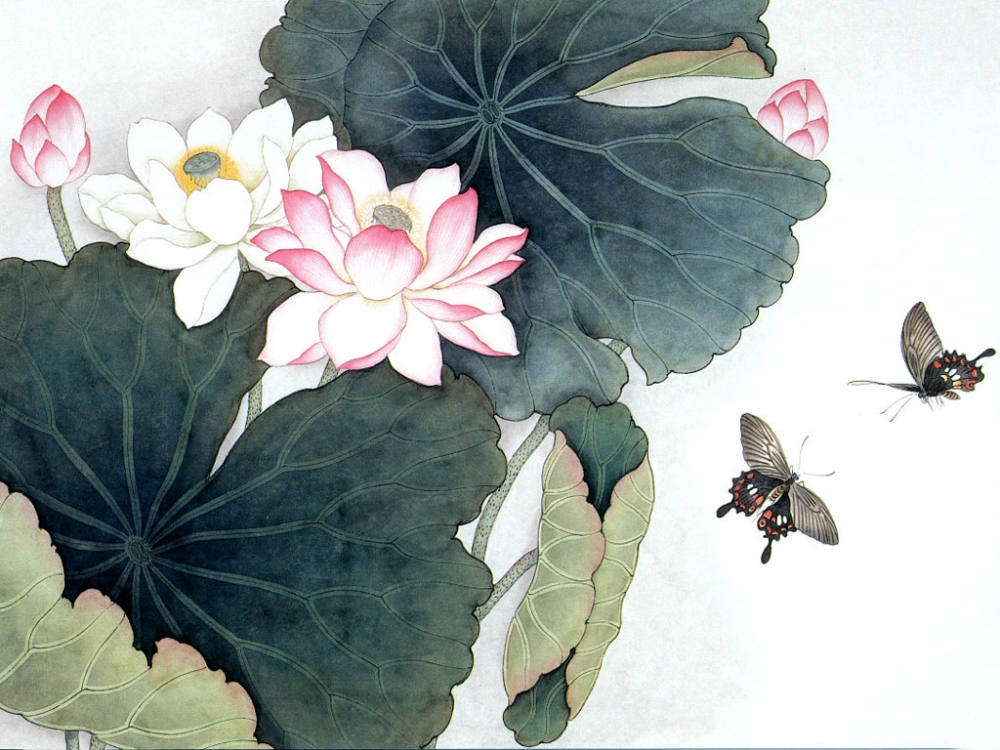 唯美水墨莲花电脑桌面壁纸下载