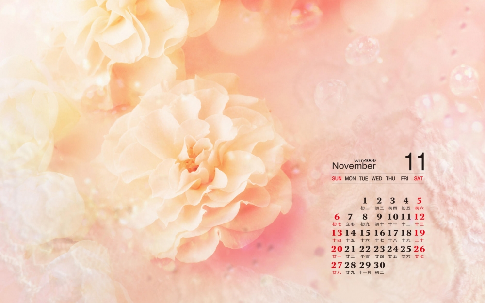 2016年11月日历淡雅梦幻的鲜花素材电脑桌面壁纸