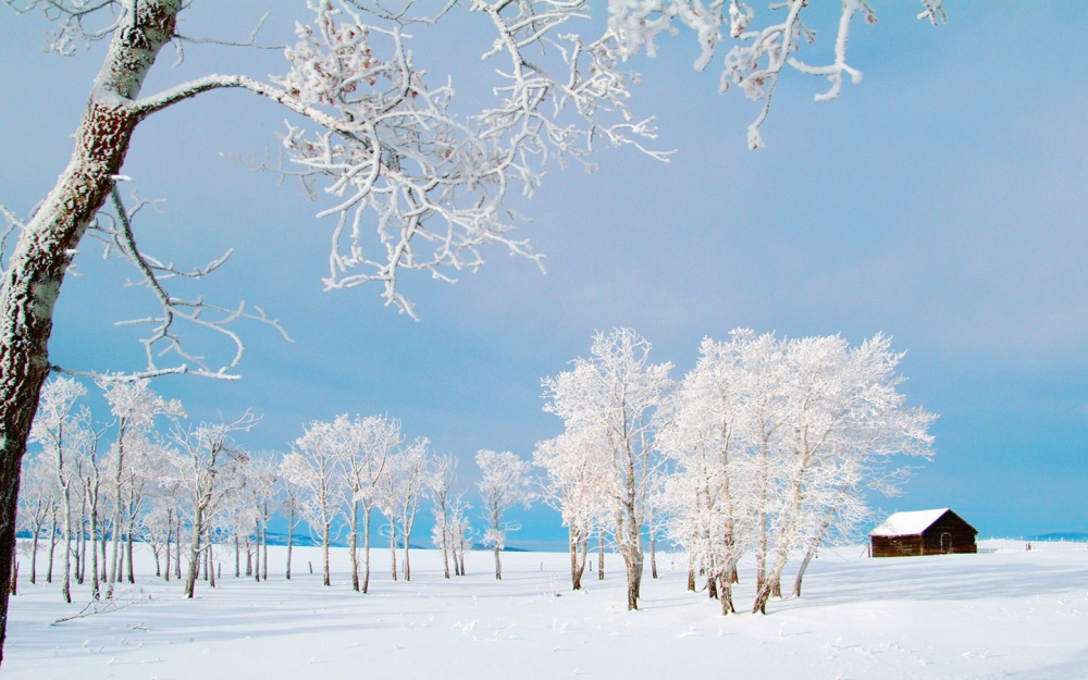 2013的纯白雪景