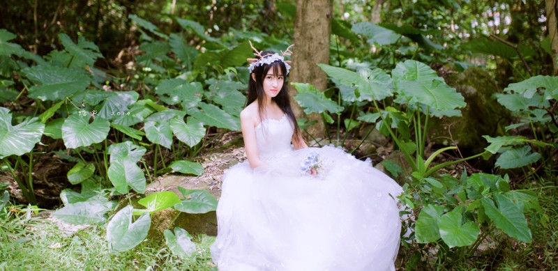 诺子：他说她像森林里的麋鹿  然后他给她一对幻想的鹿角  却消失在她的森林里