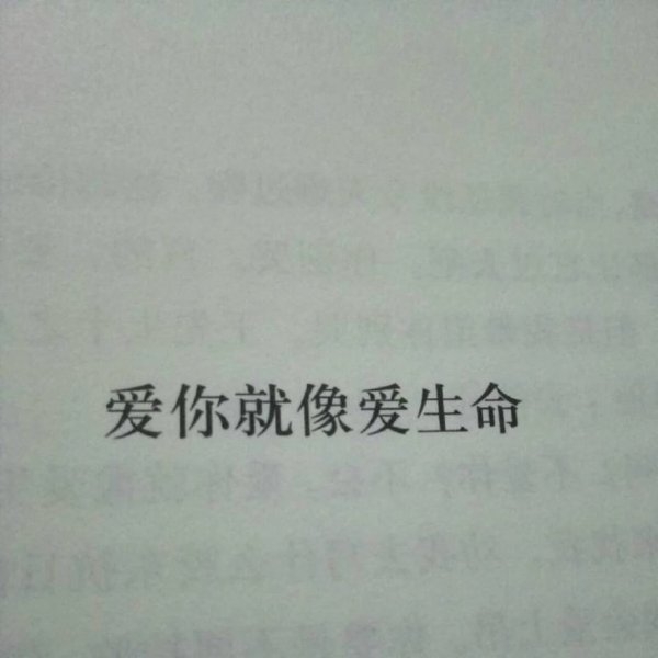 你没来过 我也没爱过