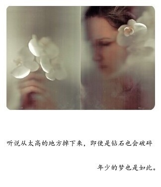 不要再怀念了姑娘 不要再想了