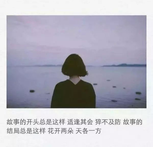 你们喜欢就好。