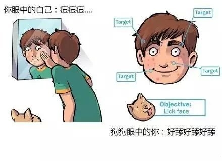 小哥哥：我想养只狗.