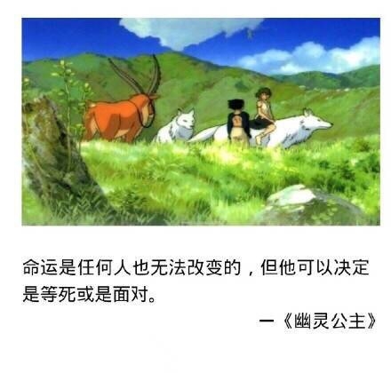 有一种动画叫做宫崎骏，每一部都治愈人心。