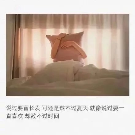 在所有你在或者不在的时光里
