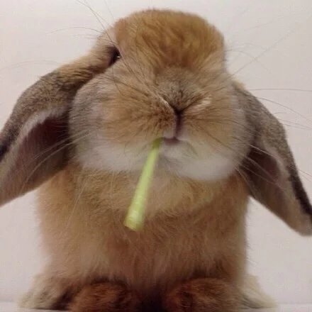 cute.