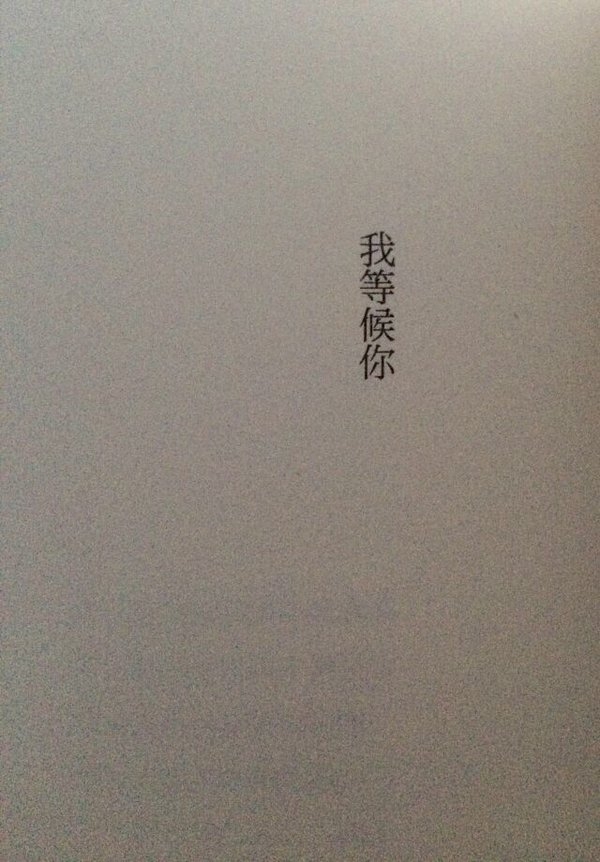 我的世界 喜则留，厌则走，不强求