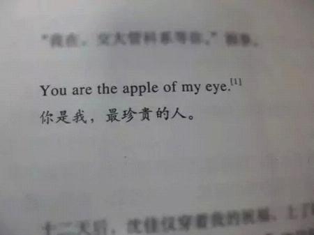 2017最新书摘带字唯美图片大全 爱是假的珍惜才是真的