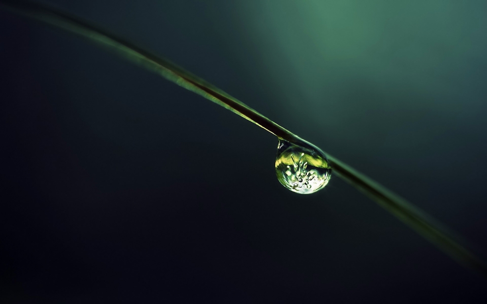 绿叶上的雨滴 露珠 水滴 水珠宽屏壁纸