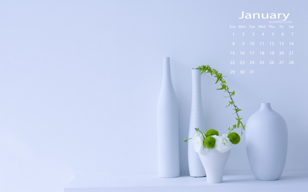 2017年1月唯美清新静物花卉桌面日历壁纸  第一辑