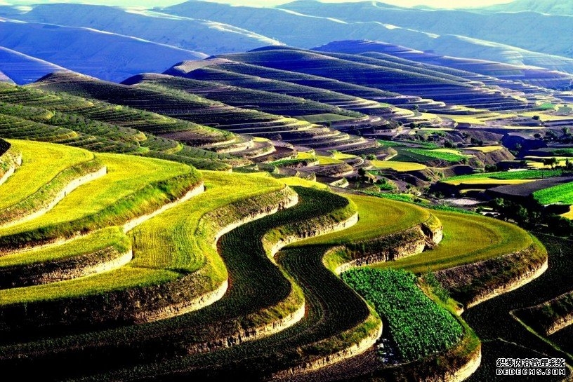 超美丽的自然梯田风景高清图片集