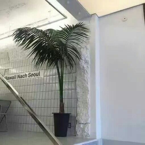 已经分不清 是喜欢还是执念了