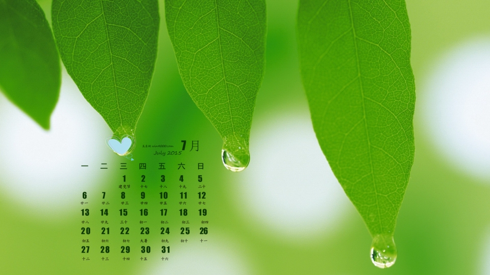 2015年7月日历壁纸精选绿色护眼的树叶水滴特写图片