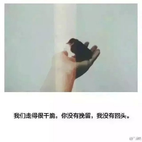 他们的故事还在继续，而我已被困在原地。