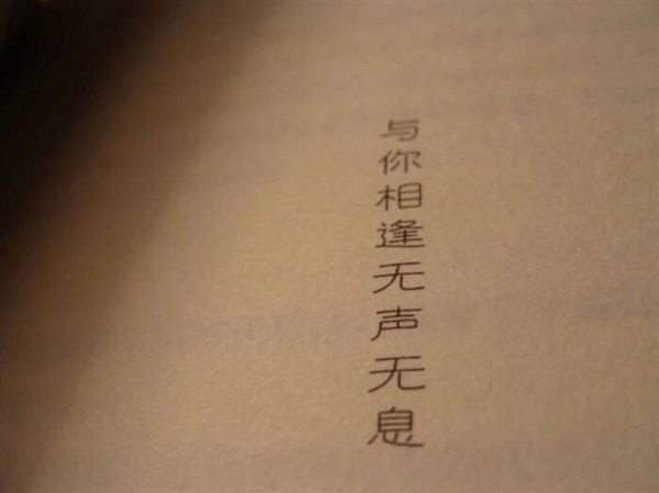 伤都是别人给的，但痛是自己好的
