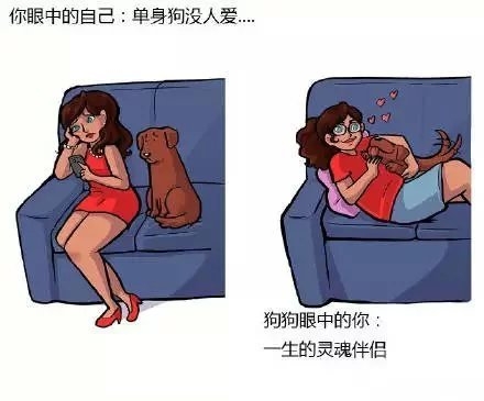小哥哥：我想养只狗.