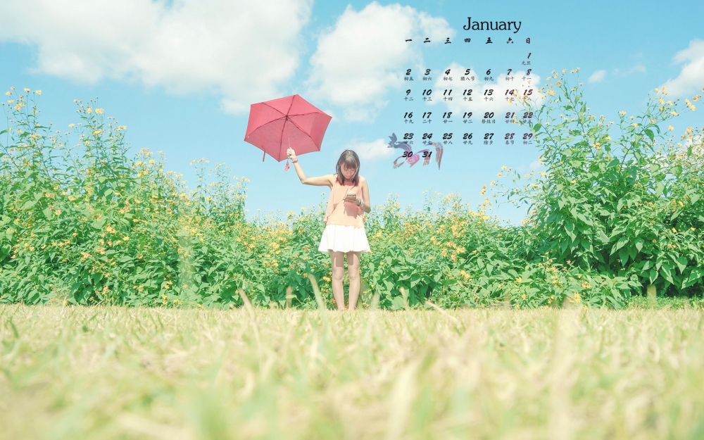 2017年1月文艺美女田园清新唯美夏日高清日历壁纸