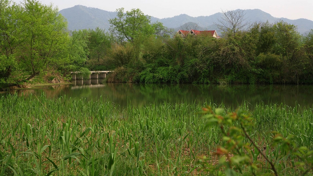 西溪湿地公园