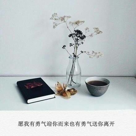 愿你惦念的人能和你道晚安 愿你独闯的日子里不觉得孤单