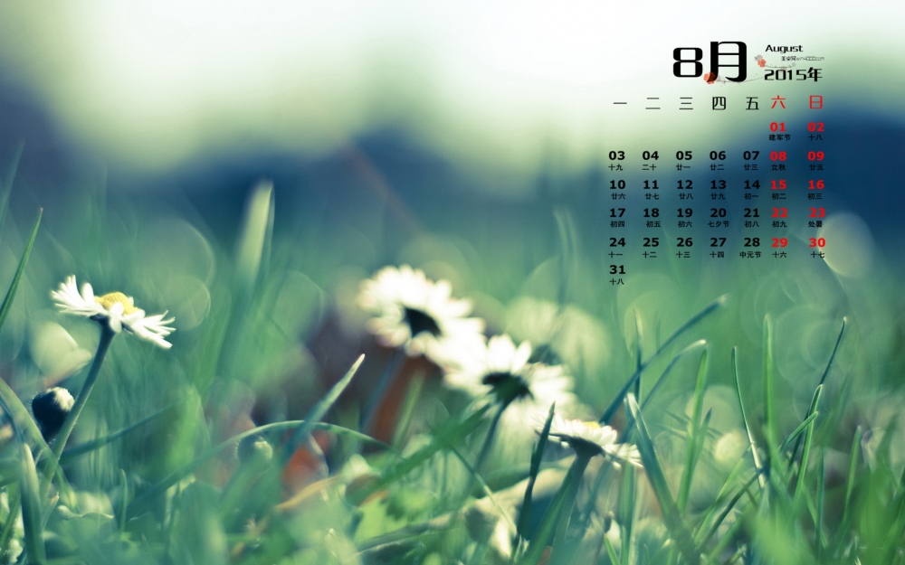 2015年8月日历精选绿色护眼电脑桌面壁纸