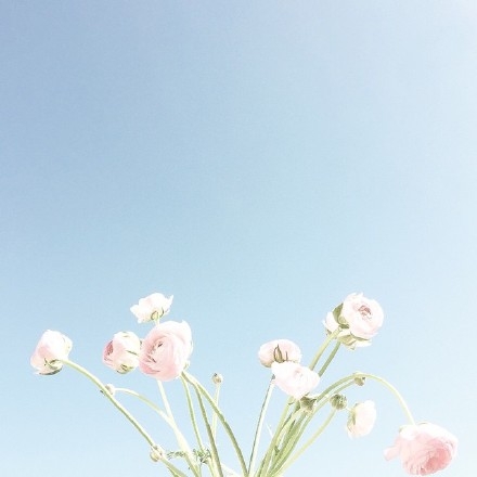 那年夏天、那抹蓝_小清新唯美图片