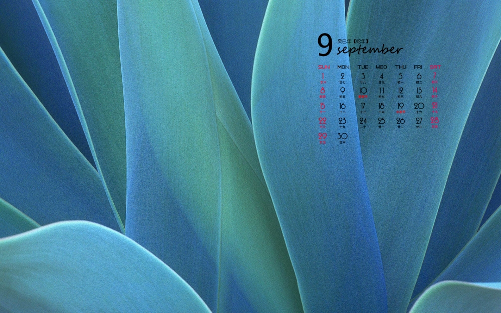 2013年9月炫彩日历电脑壁纸
