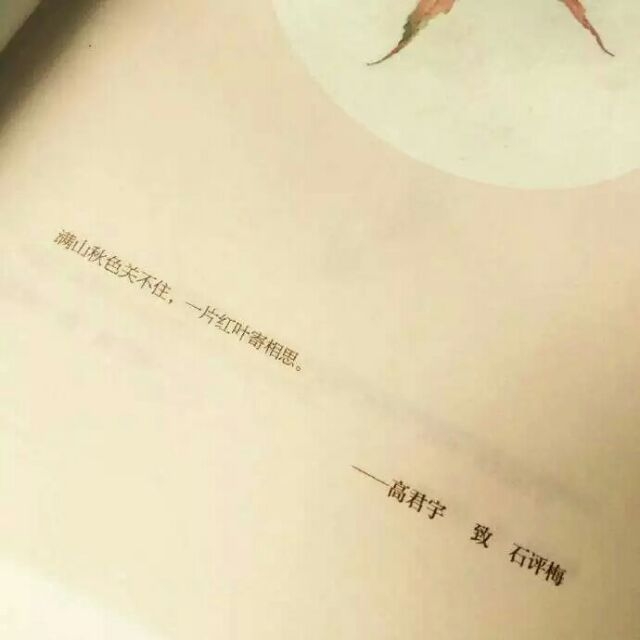 没见过什么大世面 一生只爱一张脸 ​​​.