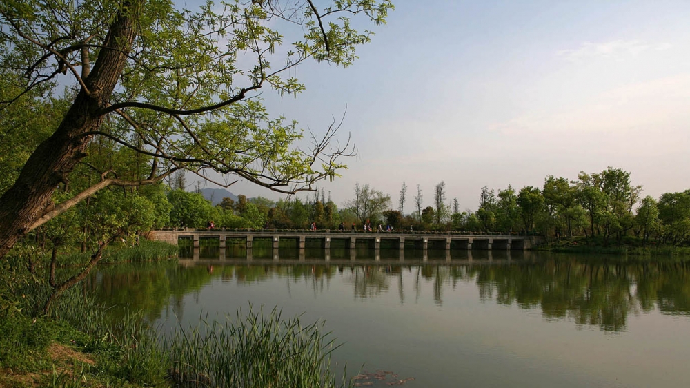 西溪湿地公园