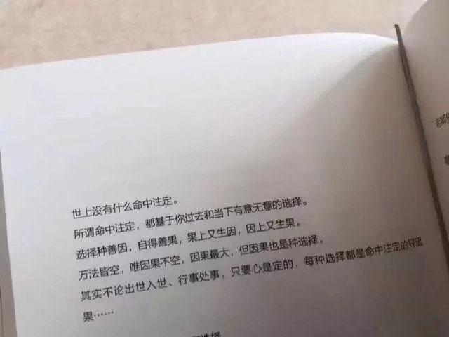 蓉爹：从白日梦变成静夜思