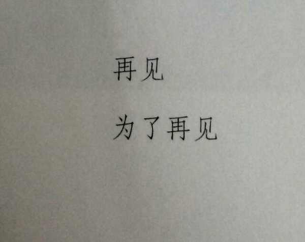 我的世界 喜则留，厌则走，不强求