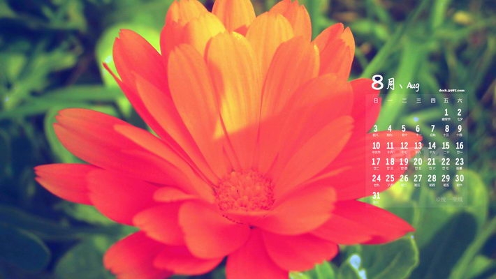 2014年八月日历电脑桌面壁纸