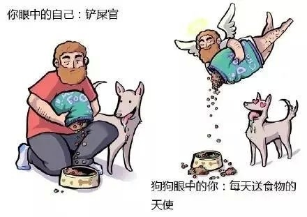 小哥哥：我想养只狗.
