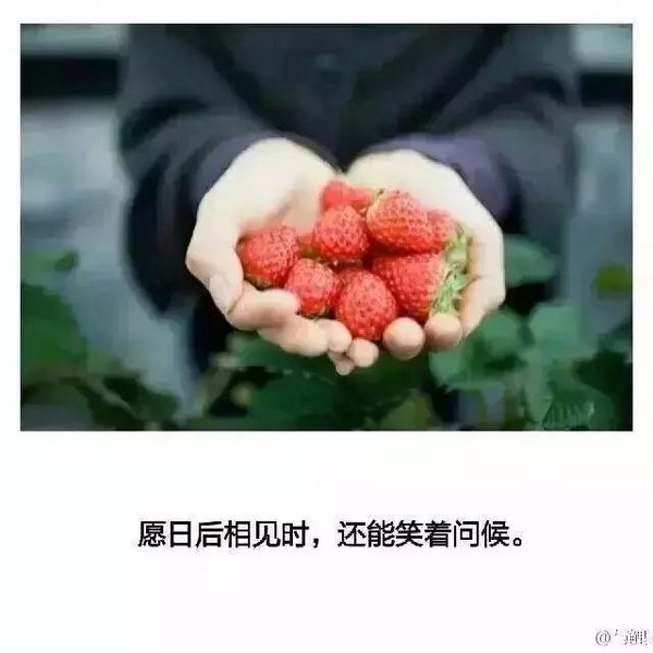 他们的故事还在继续，而我已被困在原地。