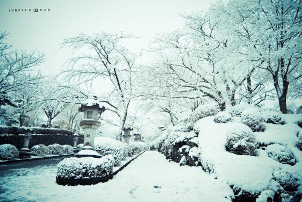 白皑皑雪天里漂亮雪人的美图