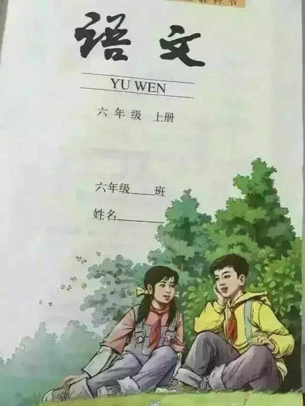这是一个悲伤的爱情故事…… 想知道六年级上学期发生了什么.