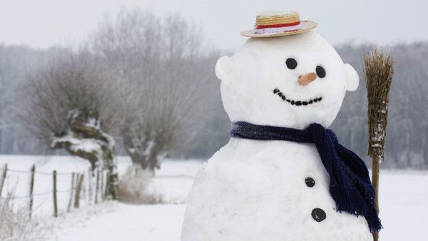 白皑皑雪天里漂亮雪人的美图