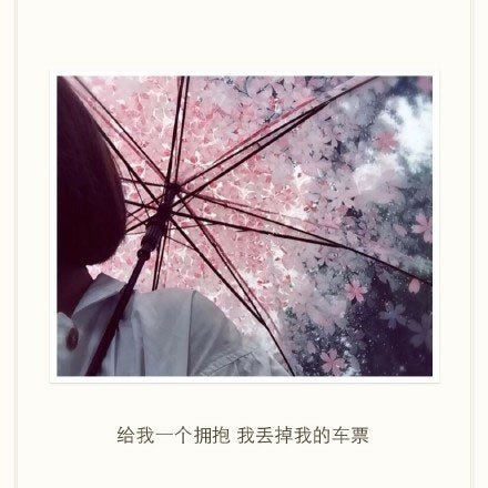 道理我都懂，但是能安慰我的不是道理，是你